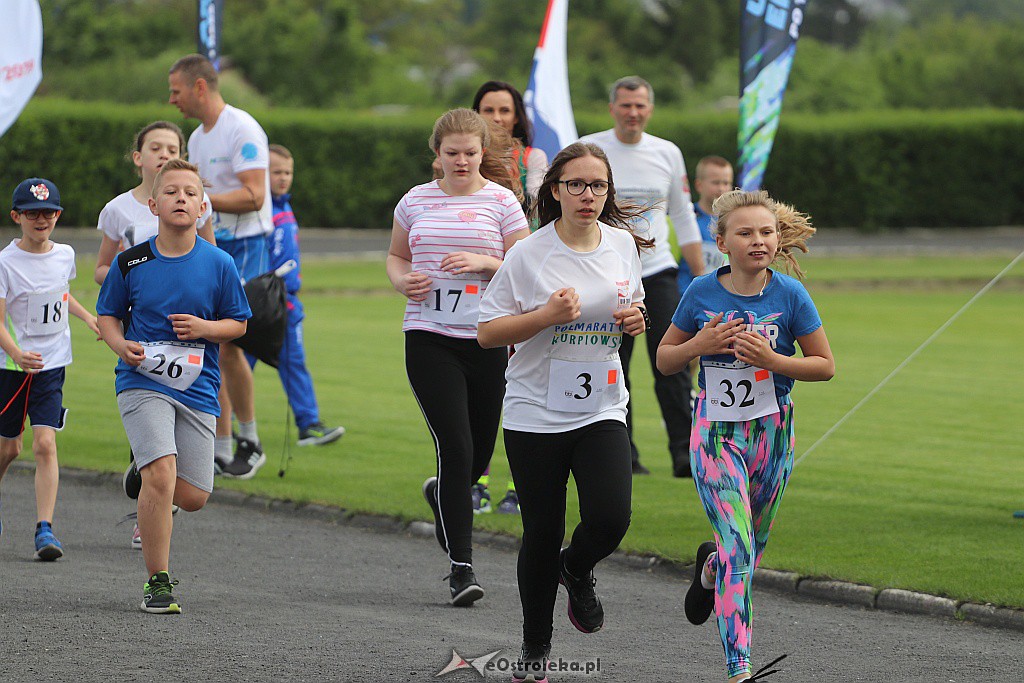 Półmaraton Kurpiowski 2019 - 26.05.2019 - zdjęcie #149 - eOstroleka.pl
