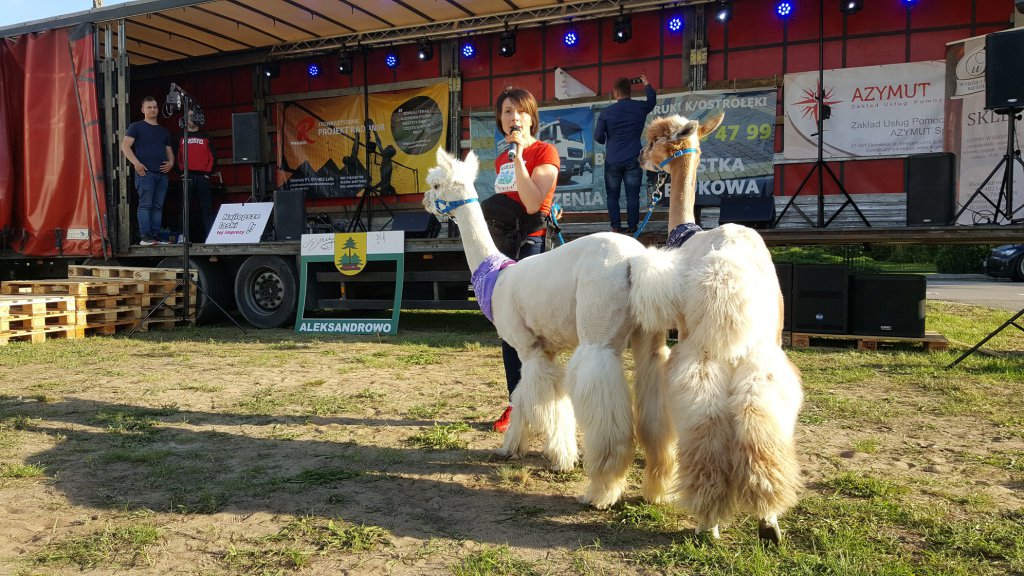 Imieniny wsi Aleksandrowo [27.05.2019] - zdjęcie #61 - eOstroleka.pl