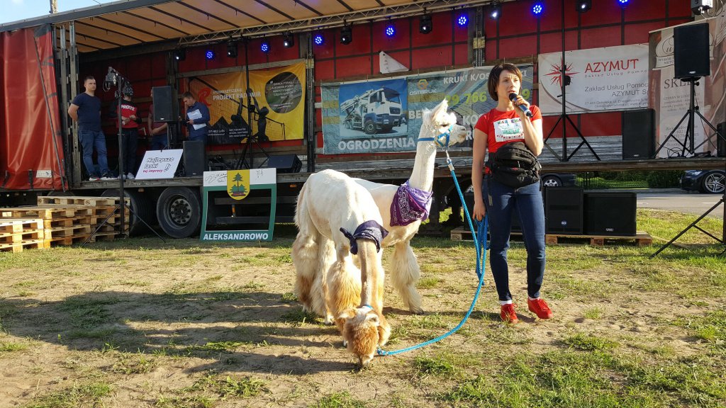 Imieniny wsi Aleksandrowo [27.05.2019] - zdjęcie #16 - eOstroleka.pl