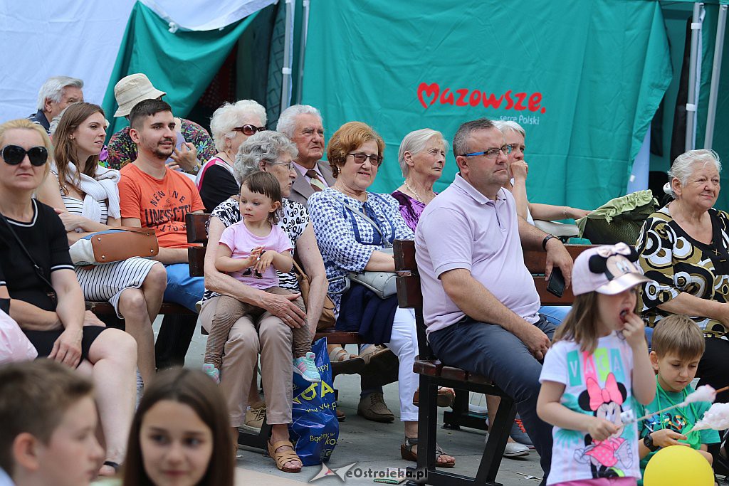 Piknik rodzinny Zdrowie dla wszystkich [01.06.2019] - zdjęcie #4 - eOstroleka.pl