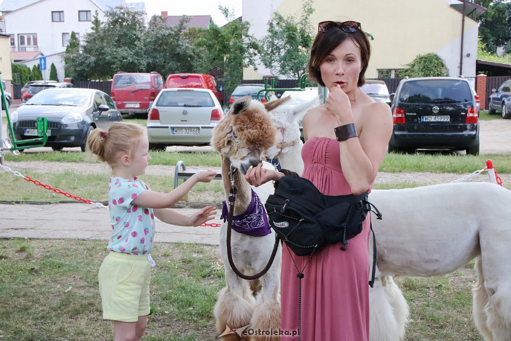 Motoserce 2019 [08.06.2019[ - zdjęcie #270 - eOstroleka.pl
