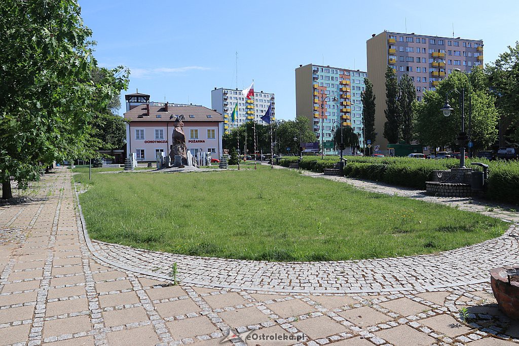 Roślinność na skwerach w Ostrołęce [10.06.2019] - zdjęcie #7 - eOstroleka.pl