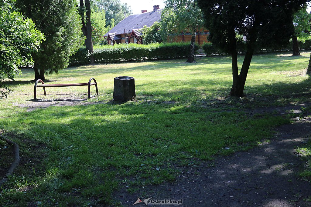Roślinność na skwerach w Ostrołęce [10.06.2019] - zdjęcie #19 - eOstroleka.pl