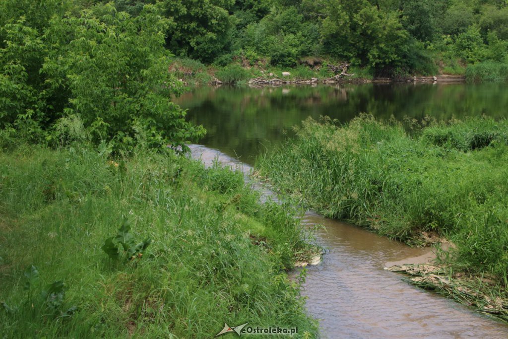Po nocnej burzy zerwało wał przeciwpowodziowy w Ostrołęce [14.06.2019] - zdjęcie #24 - eOstroleka.pl