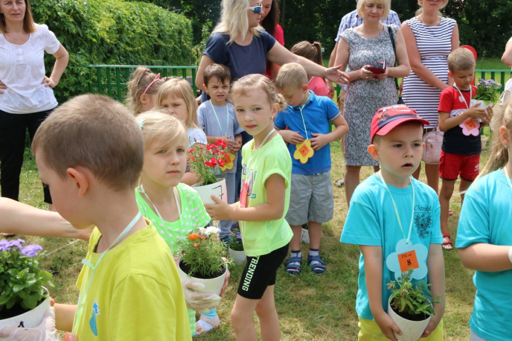Konkurs Mali Ogrodnicy w Leśnej Krainie [14.06.2019] - zdjęcie #10 - eOstroleka.pl