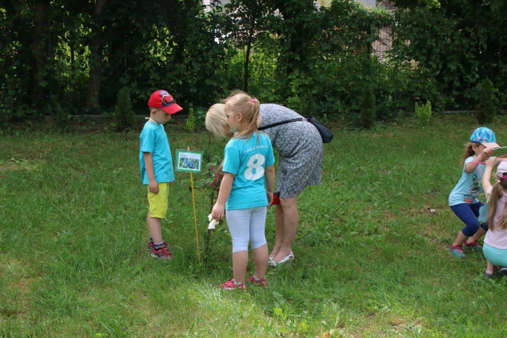 Konkurs Mali Ogrodnicy w Leśnej Krainie [14.06.2019] - zdjęcie #27 - eOstroleka.pl