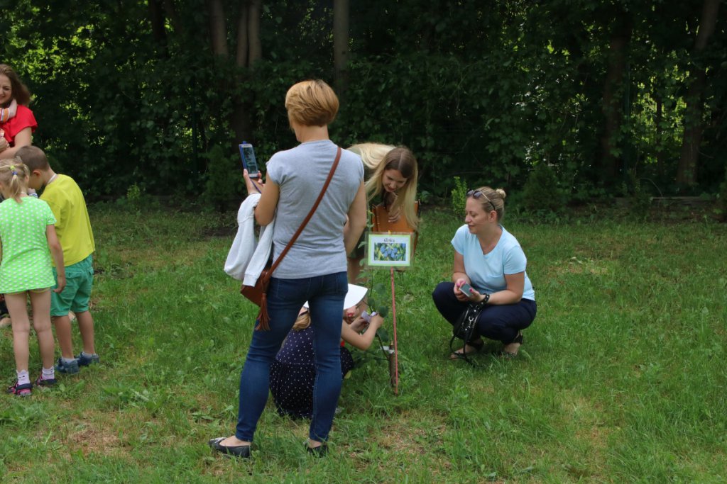 Konkurs Mali Ogrodnicy w Leśnej Krainie [14.06.2019] - zdjęcie #28 - eOstroleka.pl