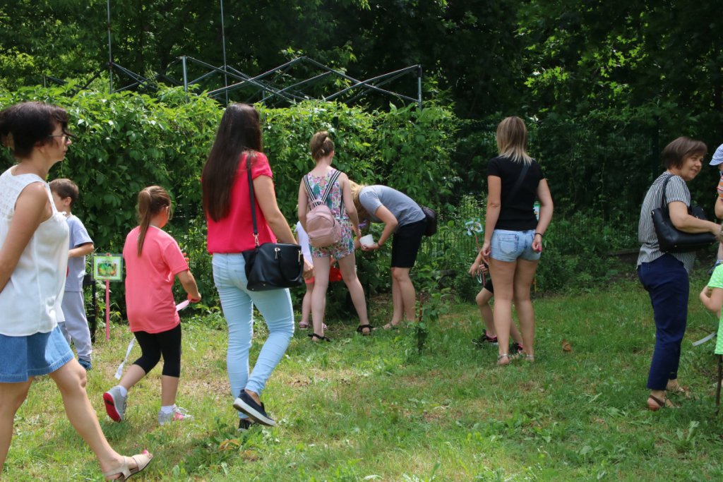 Konkurs Mali Ogrodnicy w Leśnej Krainie [14.06.2019] - zdjęcie #30 - eOstroleka.pl