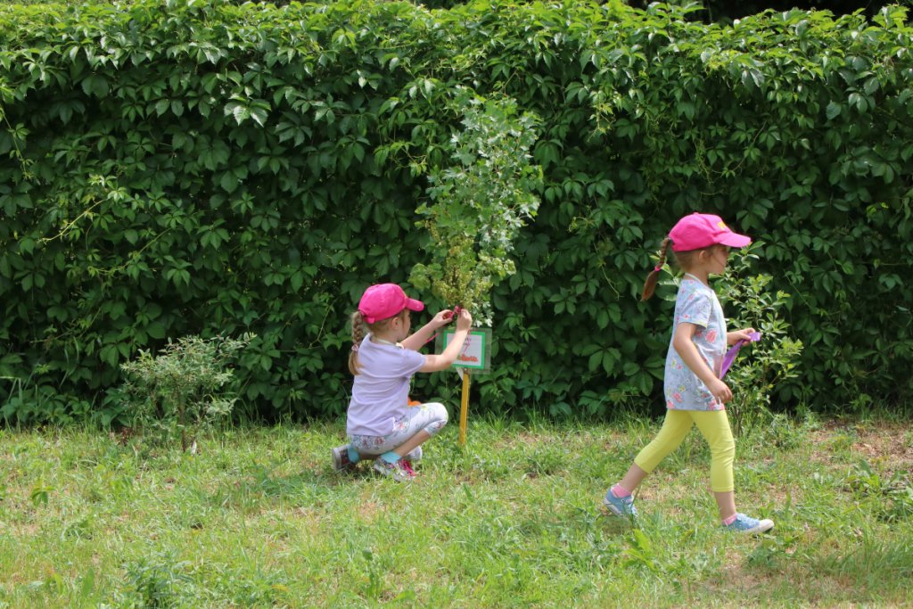 Konkurs Mali Ogrodnicy w Leśnej Krainie [14.06.2019] - zdjęcie #31 - eOstroleka.pl