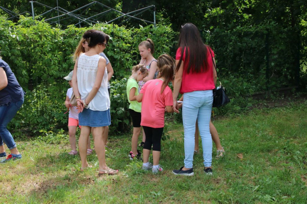 Konkurs Mali Ogrodnicy w Leśnej Krainie [14.06.2019] - zdjęcie #33 - eOstroleka.pl