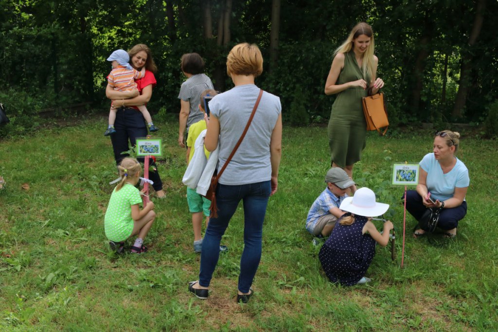 Konkurs Mali Ogrodnicy w Leśnej Krainie [14.06.2019] - zdjęcie #34 - eOstroleka.pl