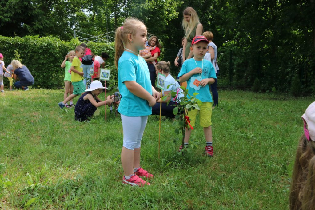 Konkurs Mali Ogrodnicy w Leśnej Krainie [14.06.2019] - zdjęcie #37 - eOstroleka.pl