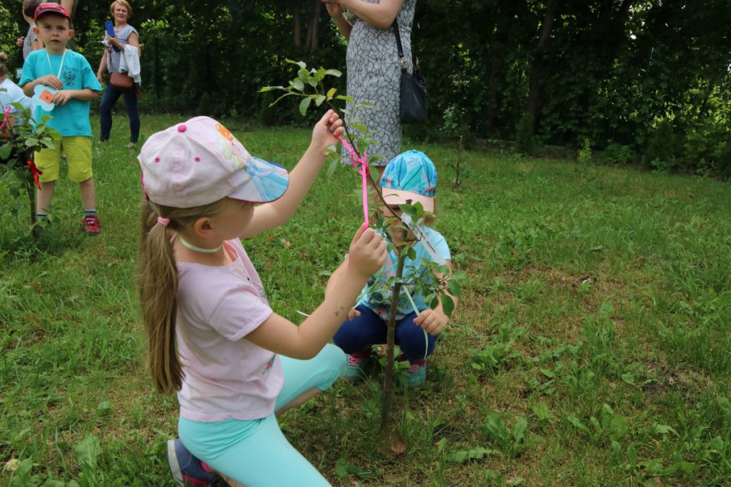 Konkurs Mali Ogrodnicy w Leśnej Krainie [14.06.2019] - zdjęcie #38 - eOstroleka.pl