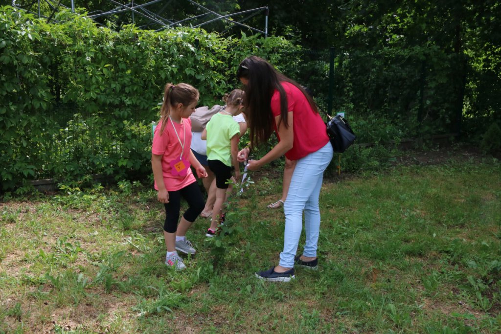 Konkurs Mali Ogrodnicy w Leśnej Krainie [14.06.2019] - zdjęcie #19 - eOstroleka.pl
