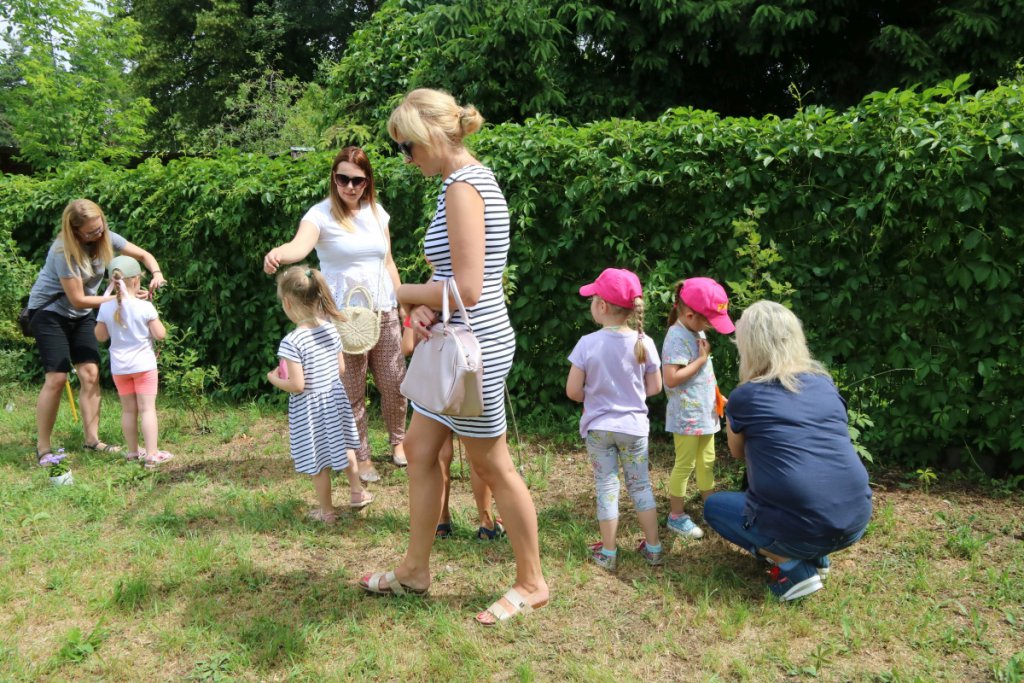Konkurs Mali Ogrodnicy w Leśnej Krainie [14.06.2019] - zdjęcie #18 - eOstroleka.pl
