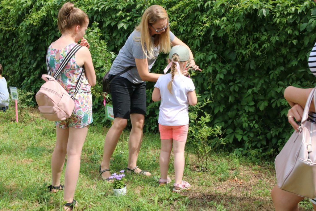 Konkurs Mali Ogrodnicy w Leśnej Krainie [14.06.2019] - zdjęcie #17 - eOstroleka.pl
