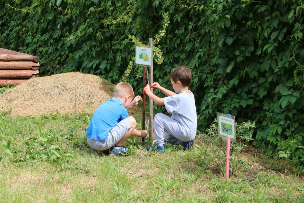 Konkurs Mali Ogrodnicy w Leśnej Krainie [14.06.2019] - zdjęcie #43 - eOstroleka.pl