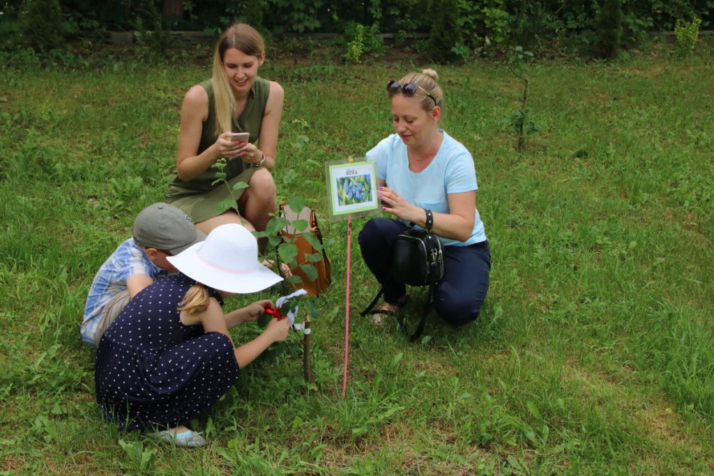 Konkurs Mali Ogrodnicy w Leśnej Krainie [14.06.2019] - zdjęcie #14 - eOstroleka.pl