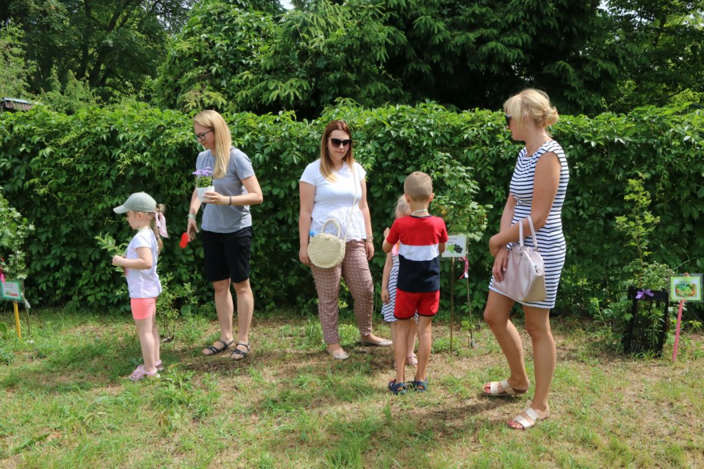 Konkurs Mali Ogrodnicy w Leśnej Krainie [14.06.2019] - zdjęcie #12 - eOstroleka.pl