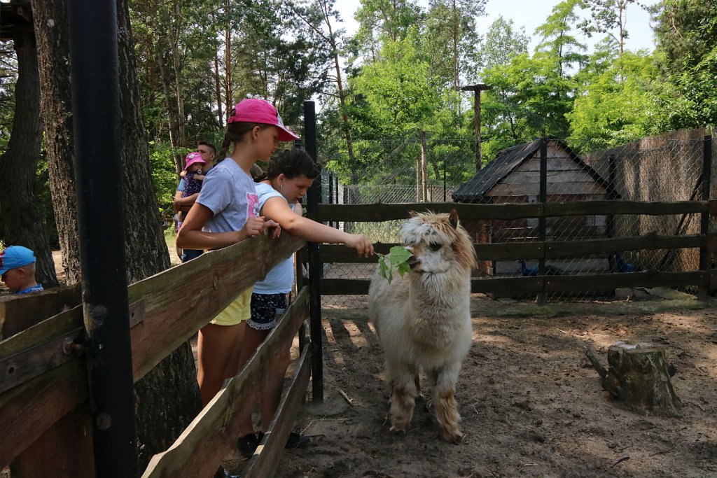 „Dzień Rodziny” z Zespołem Placówek Wsparcia Dziennego [ZDJĘCIA] - zdjęcie #31 - eOstroleka.pl