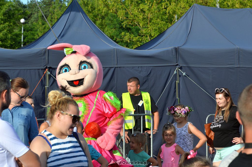 Festyn Rodzinny na Powitanie Lata w Ostrołęce [22.06.2019] - zdjęcie #227 - eOstroleka.pl