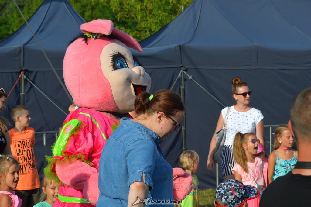 Festyn Rodzinny na Powitanie Lata w Ostrołęce [22.06.2019] - zdjęcie #223 - eOstroleka.pl