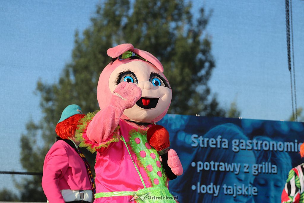 Festyn Rodzinny na Powitanie Lata w Ostrołęce [22.06.2019] - zdjęcie #138 - eOstroleka.pl
