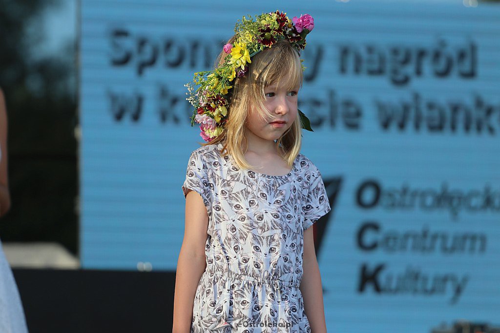 Festyn Rodzinny na Powitanie Lata w Ostrołęce [22.06.2019] - zdjęcie #42 - eOstroleka.pl