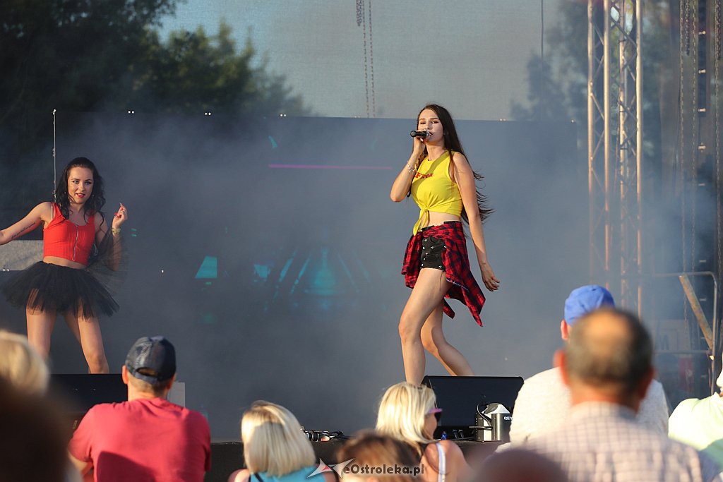 Festyn Rodzinny na Powitanie Lata w Ostrołęce [22.06.2019] - zdjęcie #15 - eOstroleka.pl