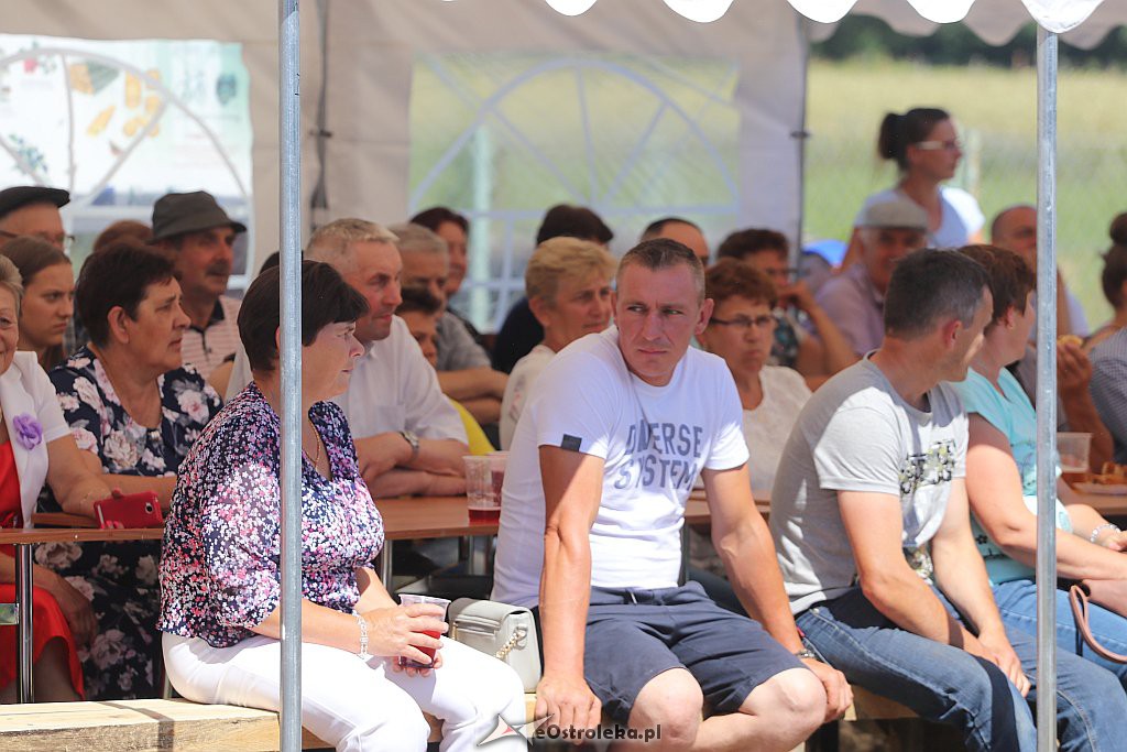 Festyn w Surowem [23.06.2019] - zdjęcie #11 - eOstroleka.pl