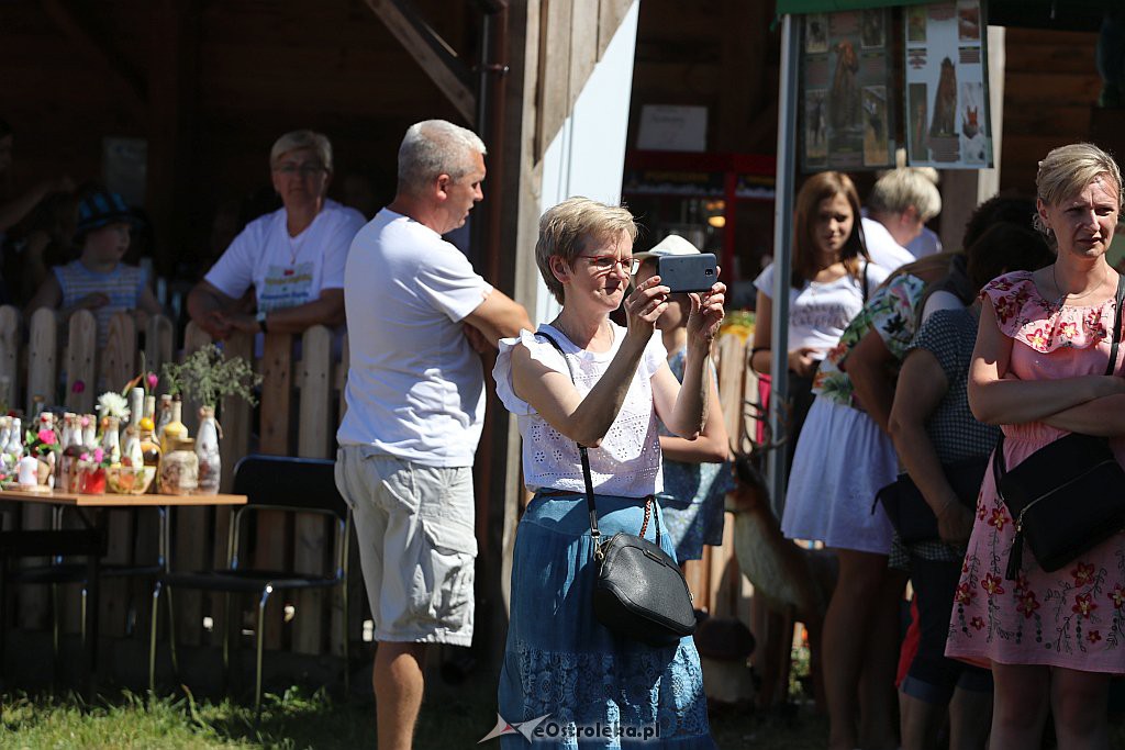 Festyn w Surowem [23.06.2019] - zdjęcie #22 - eOstroleka.pl
