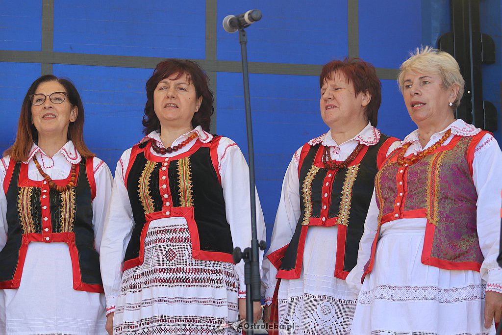 Festyn w Surowem [23.06.2019] - zdjęcie #12 - eOstroleka.pl