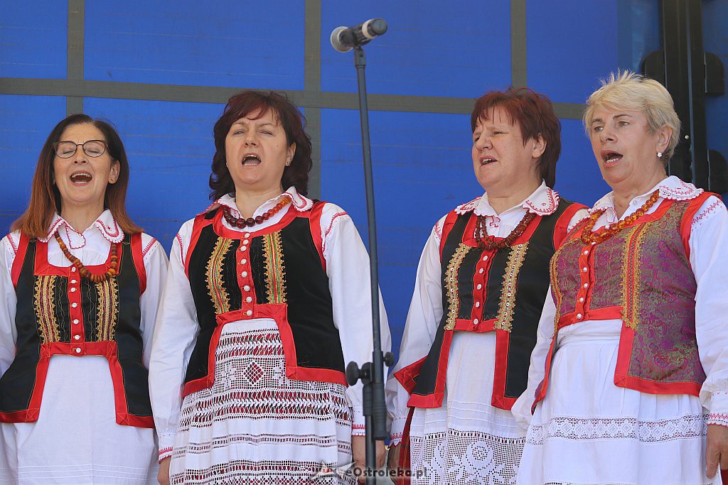 Festyn w Surowem [23.06.2019] - zdjęcie #44 - eOstroleka.pl