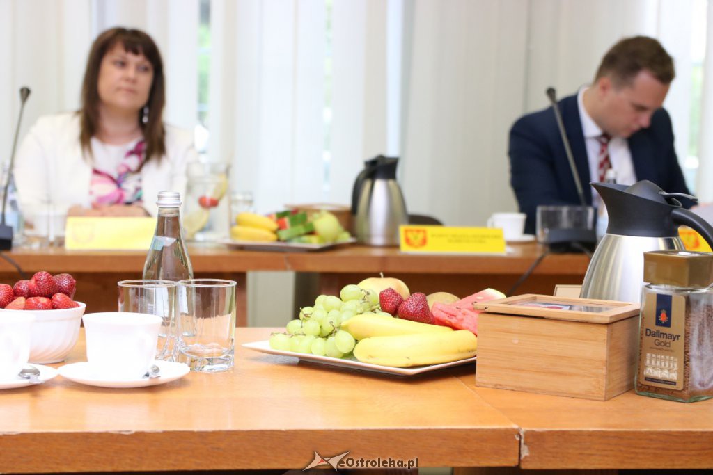 XIII sesja Rady Miasta Ostrołęki [27.06.2019] - zdjęcie #26 - eOstroleka.pl