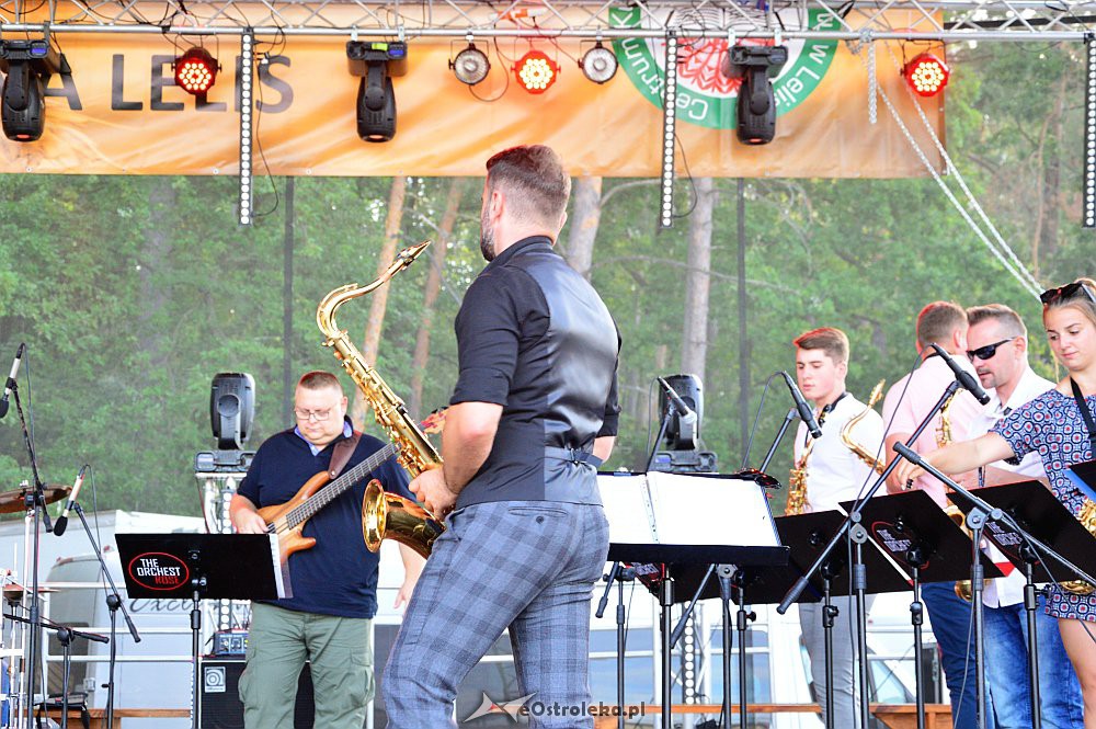 Dożynki na Kurpiach w Lelisie  [18.06.2019] - zdjęcie #76 - eOstroleka.pl