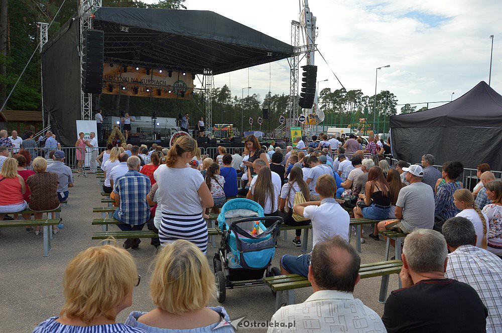 Dożynki na Kurpiach w Lelisie  [18.06.2019] - zdjęcie #173 - eOstroleka.pl