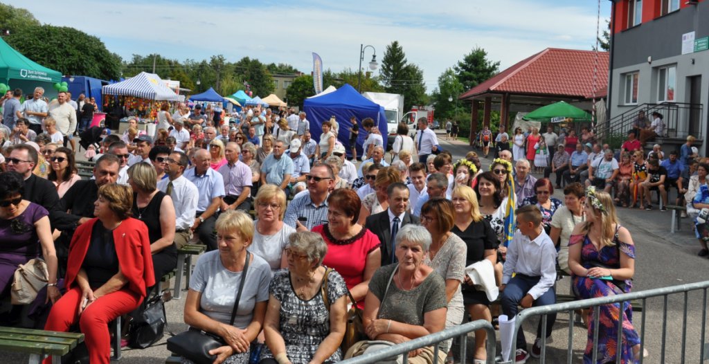 Dożynki na Kurpiach w Lelisie  [18.06.2019] - zdjęcie #45 - eOstroleka.pl