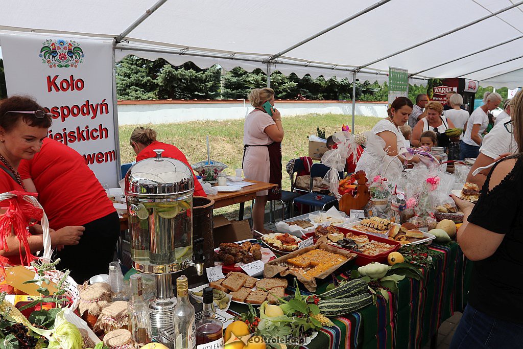 Odpust św. Rocha w Czarni [18.08.2019] - zdjęcie #62 - eOstroleka.pl
