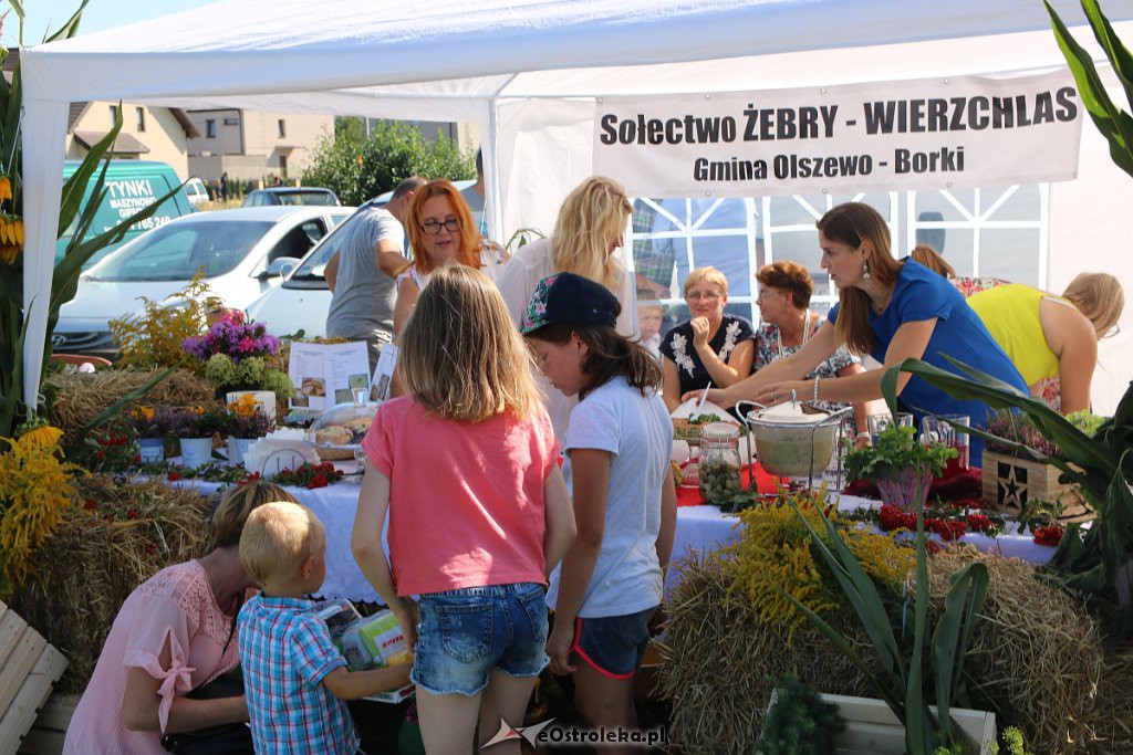 Dożynki parafialno-gminno-powiatowe. Tak się bawią w Olszewo-Borkach [24.08.2019 - zdjęcie #31 - eOstroleka.pl