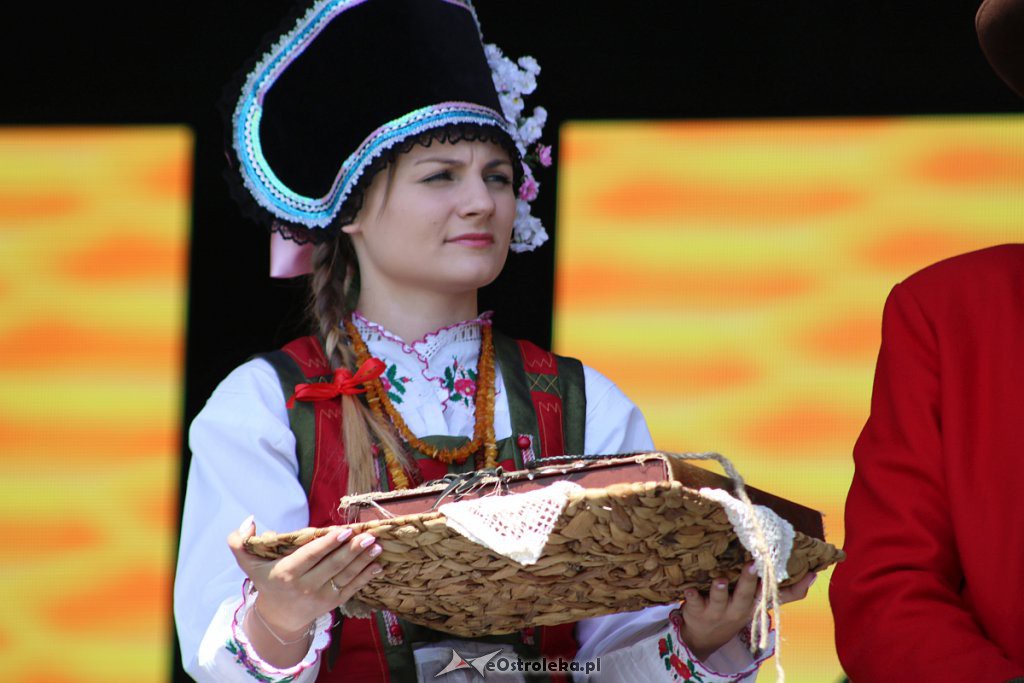 42. Miodobranie Kurpiowskie [25.08.2019] - zdjęcie #136 - eOstroleka.pl