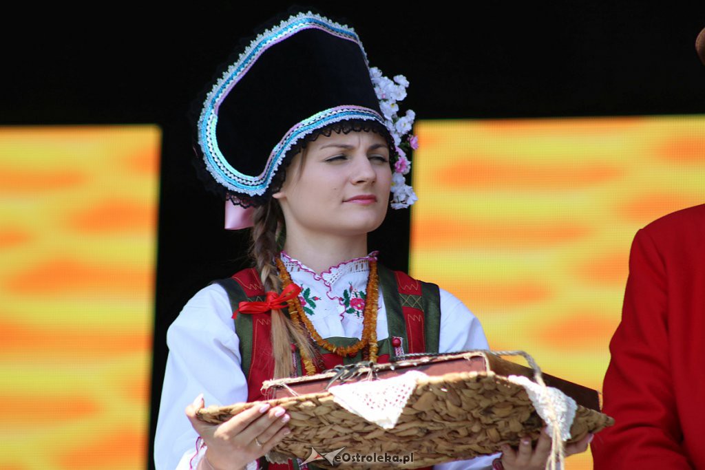 42. Miodobranie Kurpiowskie [25.08.2019] - zdjęcie #132 - eOstroleka.pl