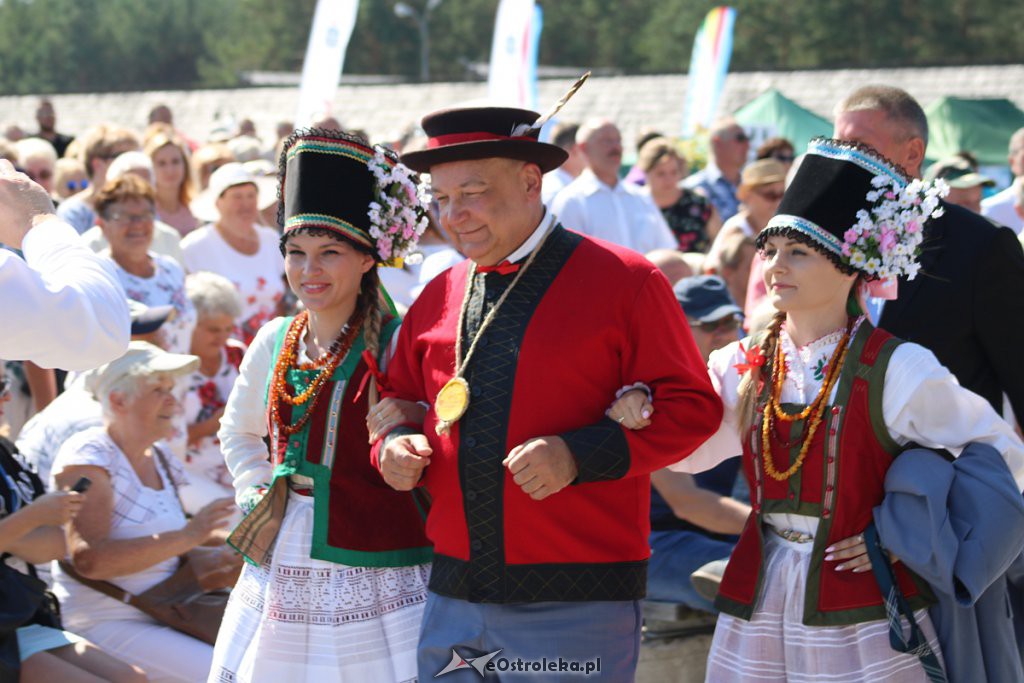 42. Miodobranie Kurpiowskie [25.08.2019] - zdjęcie #73 - eOstroleka.pl