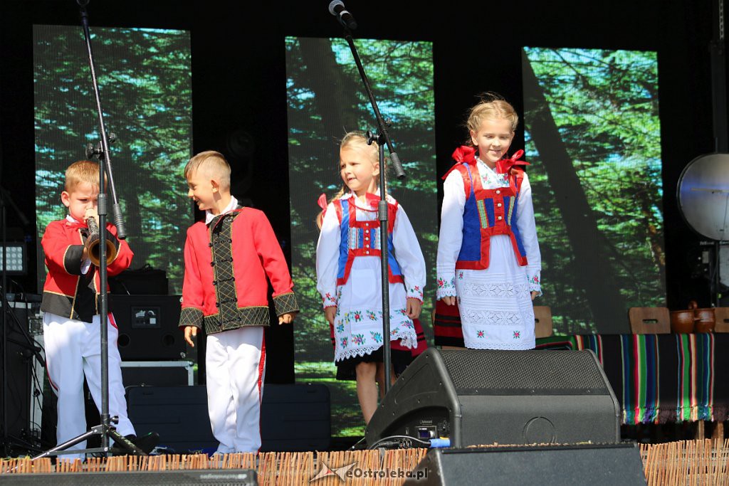 42. Miodobranie Kurpiowskie [25.08.2019] - zdjęcie #64 - eOstroleka.pl