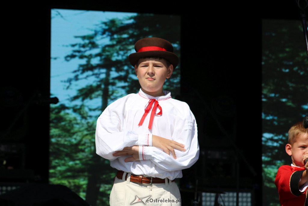 42. Miodobranie Kurpiowskie [25.08.2019] - zdjęcie #63 - eOstroleka.pl