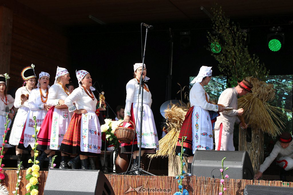 42. Miodobranie Kurpiowskie [25.08.2019] - zdjęcie #50 - eOstroleka.pl