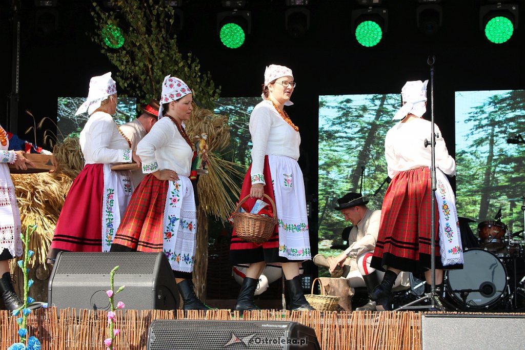 42. Miodobranie Kurpiowskie [25.08.2019] - zdjęcie #48 - eOstroleka.pl