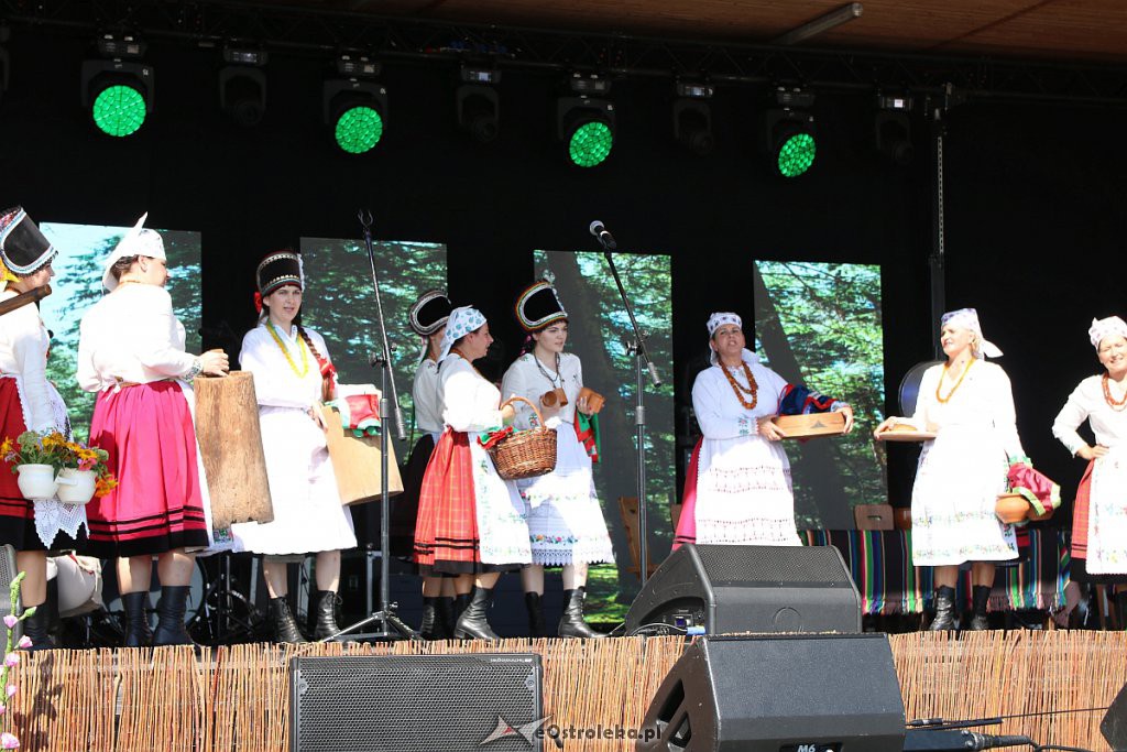42. Miodobranie Kurpiowskie [25.08.2019] - zdjęcie #46 - eOstroleka.pl