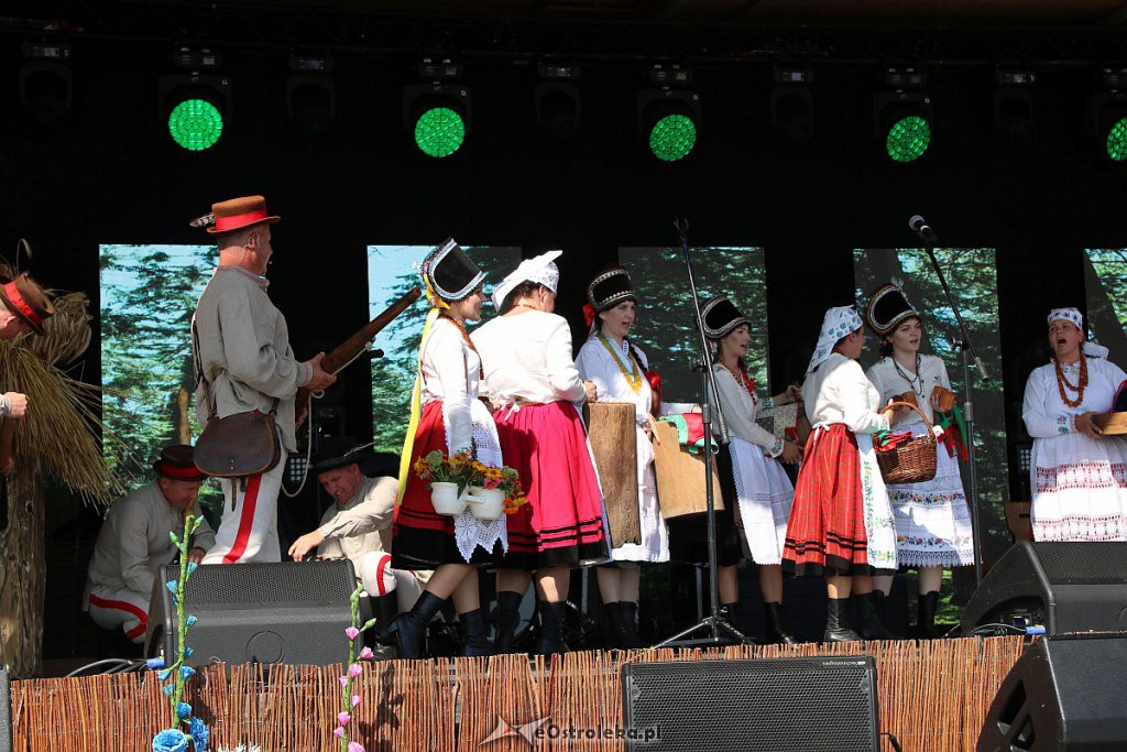 42. Miodobranie Kurpiowskie [25.08.2019] - zdjęcie #45 - eOstroleka.pl