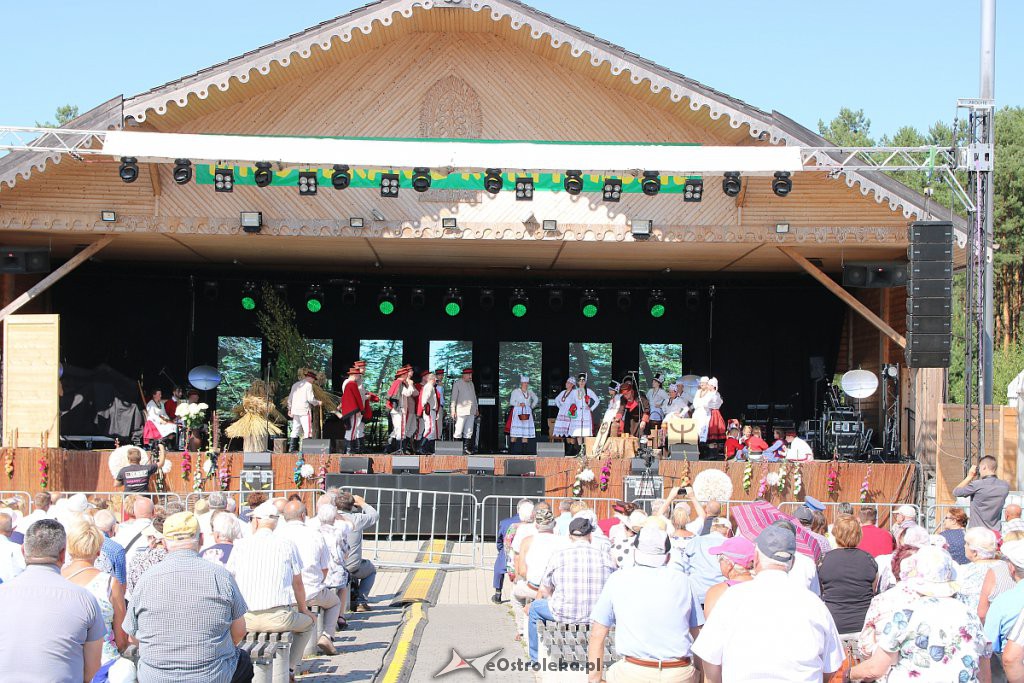 42. Miodobranie Kurpiowskie [25.08.2019] - zdjęcie #42 - eOstroleka.pl