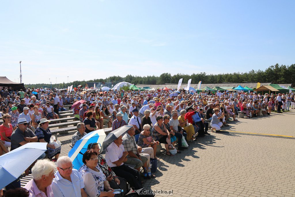 42. Miodobranie Kurpiowskie [25.08.2019] - zdjęcie #35 - eOstroleka.pl